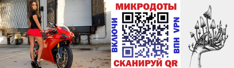 KRAKEN рабочий сайт  продажа наркотиков  Верхнеуральск  Галлюциногенные грибы Cubensis 